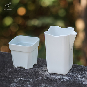 <span class=keywords><strong>Pot</strong></span> de fleurs en plastique semi-transparent épaissi pour plantes succulentes, <span class=keywords><strong>design</strong></span> minimaliste, robuste et durable - Product Image 4
