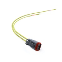 YZCONN pabrik kustom gaya Crimp terminal DT04-2P/DT06-2S otomotif tahan air konektor Auto listrik Harness kabel