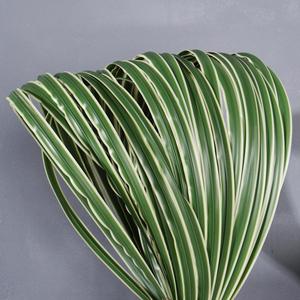 <span class=keywords><strong>Fil</strong></span> de liaison en caoutchouc souple pour arrangements floraux de mariage, motif feuille d'épée en acier, plante artificielle verte - Product Image 4