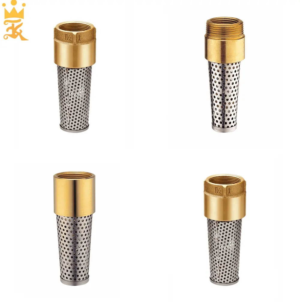 OEM tùy chỉnh Brass lưới lọc Brass không trở lại mùa xuân kiểm tra chân van