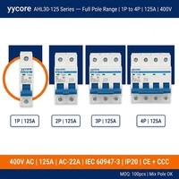 Interruptor Automático Industrial de Servicio Pesado 1P MCB 400V 125A 6kA Curva BCD C AHL30-125 AC-22A IEC60947-3 IP20 CE CCC OEM ODM