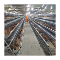Vente de 96 à 160 sortes de poulets Cage en fil de fer galvanisé à 4 couches et système d'alimentation