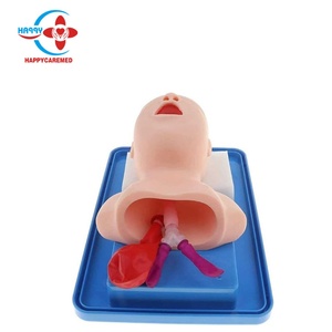 Modelo/Simulador/Maniquí de Entrenamiento para Intubación Traqueal Neonatal HC-S034 - Product Image 6