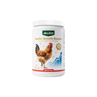 Booster de croissance des poulets de chair pour le gain de poids Additif pour l'alimentation des volailles Supplément de vitamines et d'acides aminés Aliment pour animaux d'engraissement