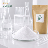 OEM ODM L-Lysine 99% Acide Aminé Essentiel pour Adultes Poudre Pure Base de Formulation de Complément Alimentaire
