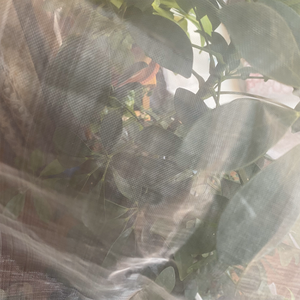 Trắng côn trùng bằng chứng Net 40 lưới nông nghiệp nhựa côn trùng bằng chứng Net rệp bằng chứng Net - Product Image 4