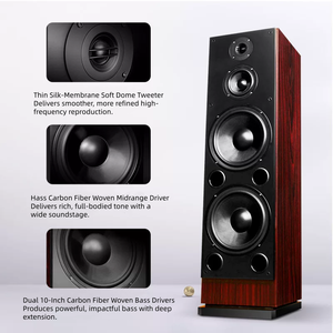 Haut-parleurs Hi-Fi HAX163 avec deux woofers de 10 pouces, enceinte en <span class=keywords><strong>bois</strong></span>, tour passive audiophile pour l'audio domestique - Product Image 2