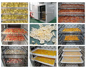 Equipo de Secado Personalizable con Control de Temperatura y Humedad para Frutas, Nueces y Verduras - Product Image 4