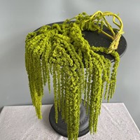 Fleurs suspendues d'amarante naturelles préservées, faites à la main, de haute qualité, vente en gros d'usine pour la Saint-Valentin, Thanksgiving, mariage