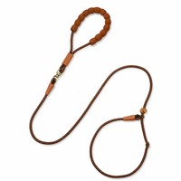 Laisse de dressage pour chien anti-traction en corde d'escalade tressée, avec poignée en mousse Cloud, anti-torsion, réglable, pour la promenade, design tendance