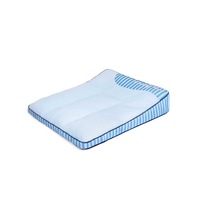 Lit pour chien orthopédique de luxe moderne, extra large, rafraîchissant, respirant, en éponge lavable, tapis rectangulaire pour animaux de compagnie, faible MOQ, OEM, ODM