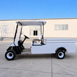 Voiturette de <span class=keywords><strong>golf</strong></span> électrique nouvelle conception, couleur personnalisée, <span class=keywords><strong>2</strong></span> places, transport spécial extérieur avec porte – Meilleures ventes - Product Image 5
