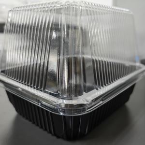 Disesuaikan sekali pakai plastik hitam peliharaan bawah nampan dengan lubang jelas tutup tinggi kacang kecambah pembibitan kucing rumput nampan dijual kemasan - Product Image 5