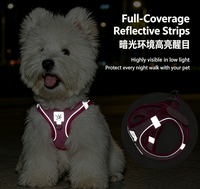 Harnais pour chien le plus populaire en maille super respirante avec imprimé dessin animé, sangle de poitrine anti-traction, réfléchissant pour l'extérieur, pour petits chiens, laisse, collier et sac à déjections