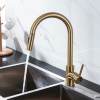 Robinet d'eau chaude et froide AMAXO en acier inoxydable 304, idéal pour les éviers de cuisine et les éviers de buanderie de balcon