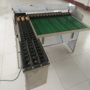 5열 계란 선별기, 계란 무게 측정 및 등급 분류기, 시간당 10000개 계란 검사, 오리알 등급 분류기 판매 - Product Image 5