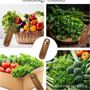 ที่ขูดใบผักไม้แบบมีรูหลายรู สำหรับขูดรากและก้าน ใช้ในครัว - Product Image 3