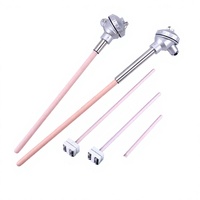 Capteur de température industrielle haute performance 1300°C, thermocouple métallique de type B, R, S avec interface USB, prise en charge OEM/ODM