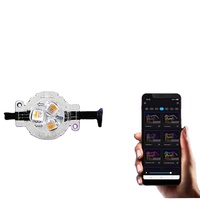 Lumières de Noël extérieures permanentes DC48v Gemstone Pixel Light SMD5050 RGBW RGB pour la décoration