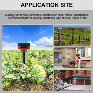 360 năng lượng mặt trời động vật rắn <span class=keywords><strong>Repeller</strong></span> ánh sáng màu đỏ, năng lượng mặt trời động vật <span class=keywords><strong>Repeller</strong></span> với cảm biến chuyển động, siêu âm Chuột <span class=keywords><strong>Repeller</strong></span> - Product Image 6