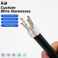 Conector Adaptador de Aleación de Aluminio Personalizado, Cable de Alimentación de 350 mm y 240 V con Aislamiento de PVC para Ensamblaje Electrónico