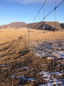 Malla de Contención para Ganado, Valla de Alambre Resistente a la Oxidación para Granjas, Cercas <span class=keywords><strong>Rurales</strong></span> para el Hogar, Refugio para Ganado, Protección Perimetral - Product Image 2