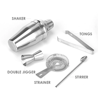 Ensemble de 5 pièces pour cocktails, shaker à martini, avec passoire, kit de barman en acier inoxydable, mélangeur de boissons avec doseur