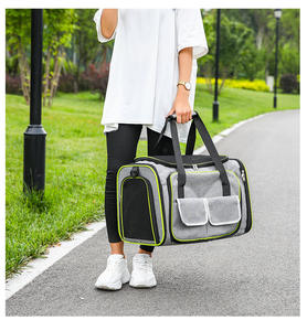 Fabrika doğrudan tedarik taşınabilir küçük kedi ve köpek evcil hayvan taşıyıcı nefes açık genişletilebilir el çantası - Product Image 5