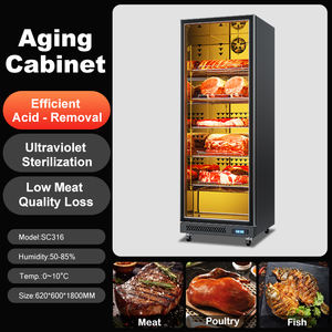 Volledig uitgeruste 316L 1-deurs koelkast met constante temperatuur, hoge esthetische waarde, commercieel gebruik voor rundvlees & vis - Product Image 3