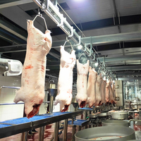 Ligne d'abattage de porcs ZBHT, équipement d'abattage de porcs vivants, prix d'usine, machinerie d'abattoir pour abattoir de petite taille
