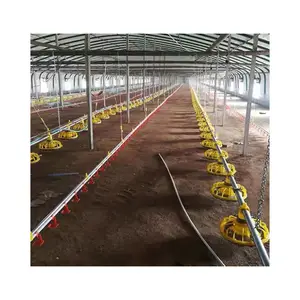 System Automatic Chicken Drinking and Feeding System for Chicken Feeders Broiler Poultry Farm Equipment