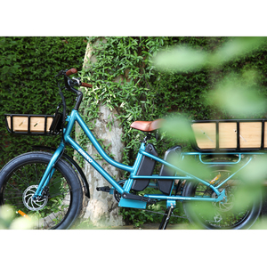 Vélo de fabrication chinoise avec deux batteries, moteur sans balais, pneus larges, système de freinage à disque, cadre en aluminium, double batterie, fabrication chinoise C - Product Image 4