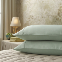 Taie d'oreiller 100 % coton, style enveloppe, lavable, avec motif dessin animé, pour hôtels et usage domestique, toutes saisons, vente en gros