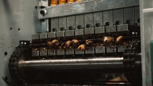 Cabezal Cortador de Anacardos de 10 Cuchillas (Grado Único) Capacidad 350-400 kg/h Totalmente Automático Calidad Premium - Product Image 2