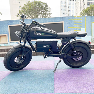 โรงงานฮิโมโตะ แบตเตอรี่ลิเธียม 3000w 60v 45ah ความเร็วสูง พร้อมกุญแจ NFC ปรับแต่งได้ จักรยานไฟฟ้าล้อโต สำหรับการเดินทางในเมือง รุ่น SK-2 3000w 60 - Product Image 3