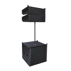 Système de haut-parleurs de basses simples de 18 pouces Caissons de basses d'extérieur en ferrite 700W - Product Image 4