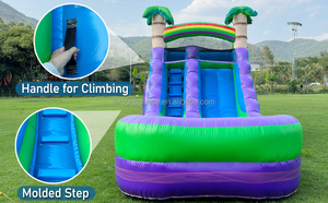 <span class=keywords><strong>Achat</strong></span> direct usine : Toboggan aquatique <span class=keywords><strong>gonflable</strong></span> violet tropical de qualité commerciale pour jeux aquatiques en extérieur et location professionnelle - Product Image 4