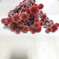 Bouquet de fleurs conservées, boules décoratives de mariage rustique teintées Bouquet de chardon globe bleu naturel (Echinops Latifolius)
