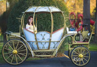 Calèche royale d'occasion / Chariot électrique de tourisme / Navette touristique / Véhicules de réception de passagers