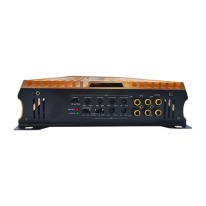 Chuyên Nghiệp 4-Kênh 4Ohms 4X250 Watts Xe Khuếch Đại Với Vỏ Kim Loại Lớp AB Mô-đun - Product Image 3