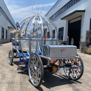 Fantezi kabak düğün arabası istikrarlı yapısı ve dış mekan kullanımı için kişiselleştirilmiş tasarım - Product Image 5