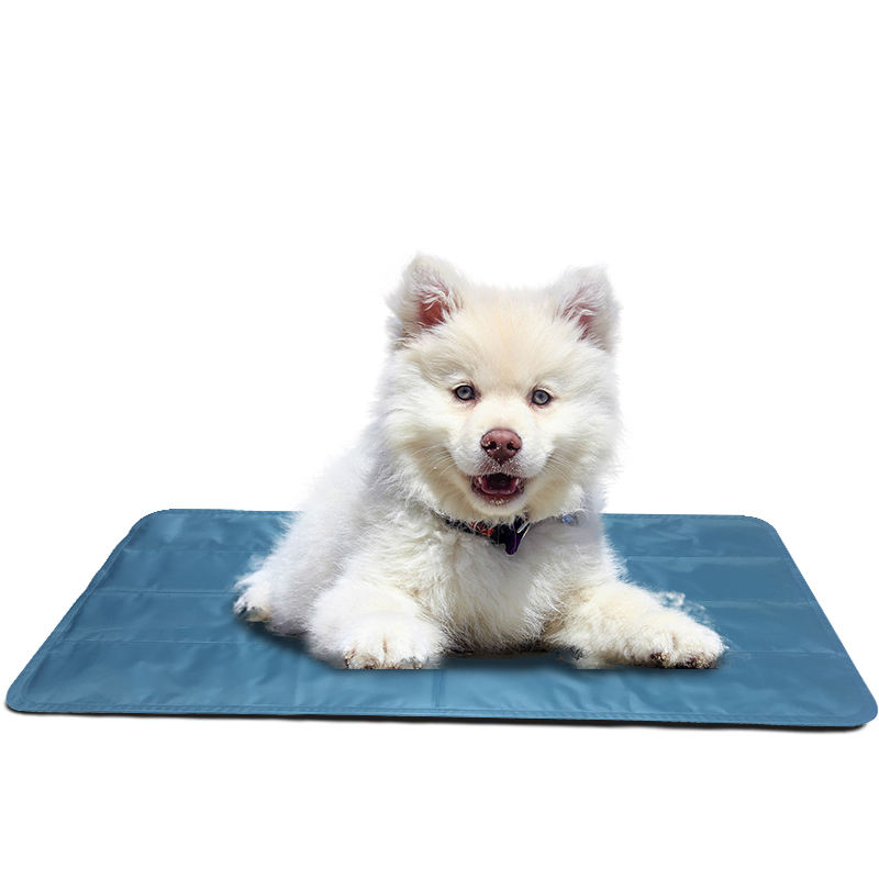 สีฟ้าอ่อน