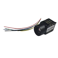Caméra thermique FPV 256/384/640 9MM, caméra d'imagerie thermique pour drones FPV avec interface CVBS, module de caméra thermique micro