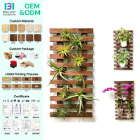 Support mural vertical en bambou pour plantes aériennes et succulentes BH - Jardinière suspendue pour plantes d'intérieur