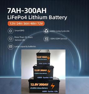<span class=keywords><strong>LiFePo4</strong></span> 12v 24v 100ah 200ah 300ah 리튬 이온 배터리 팩 에너지 저장 - Product Image 3