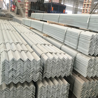 China Factory Hot Rolled Q235 S235jr S355jr Angle Steel Iron Price Per Kg