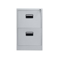 Muebles de Oficina, Archivador de Acero con 2 Cajones, Archivador Vertical de Metal para Documentos