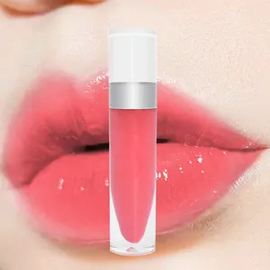 Hoge Kwaliteit Lippenstift Waterproof Langdurige Make Uw Eigen Merk Lipstick Matte Vloeibare Lipstick Private Label