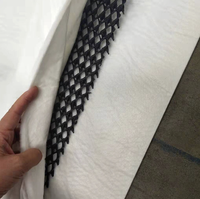 Filet de drainage géocomposite 3D pour mur de soutènement de décharge, système de drainage de barrage, couche de géonetz en PEHD
