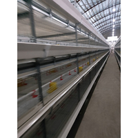 Plumeuse à volaille galvanisée à chaud en acier inoxydable, équipement d'abattage, machine à épiler les plumes à vendre